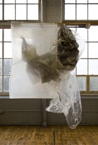 Sarah_Bliss_Longjiang_cocoon