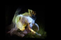 Poetics of Skin
