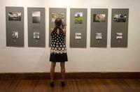 The Book of Layers gallery view