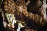 Which Used to be Bound