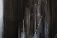 Untitled (Through a Glass Darkly)