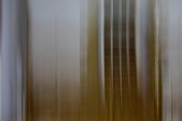 Untitled (Through a Glass Darkly)