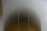 Untitled (Through a Glass Darkly)
