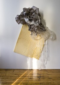 Sarah_ Bliss_Thanks_to_Incessant_Rejuvenation_(for_Yang_Ming)