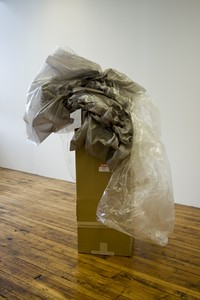 Sarah_Bliss_More_Affordable_Than_Ever