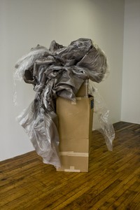 Sarah_Bliss_Never_Ceasing_to_Improve_Efficiency