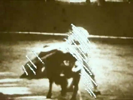 Bullfought2_6in72res.jpg