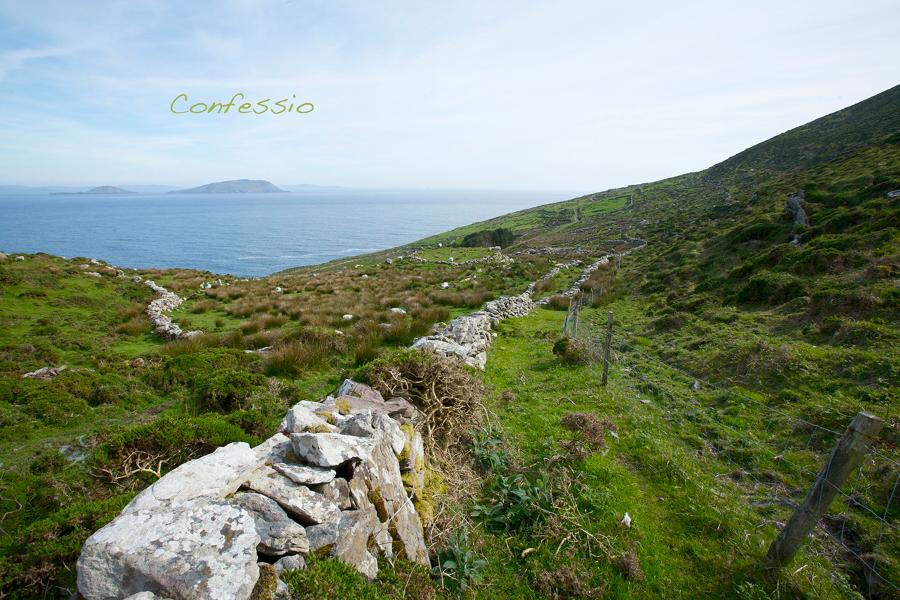 Confessio1_SFL_0682_large