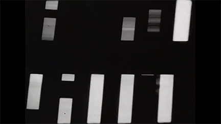 Lilla Halle_Screen Shot_6in72res.jpg