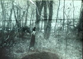 Vishlitzky_Haunted_Still_thumb